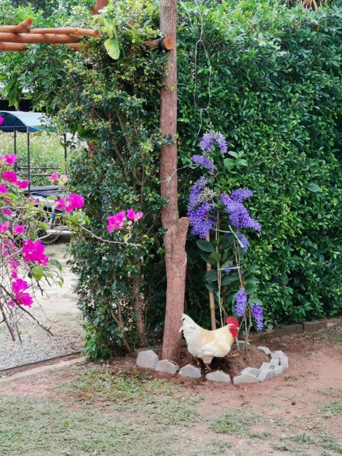 Ban Ko Kwang Krabilife Resort מראה חיצוני תמונה