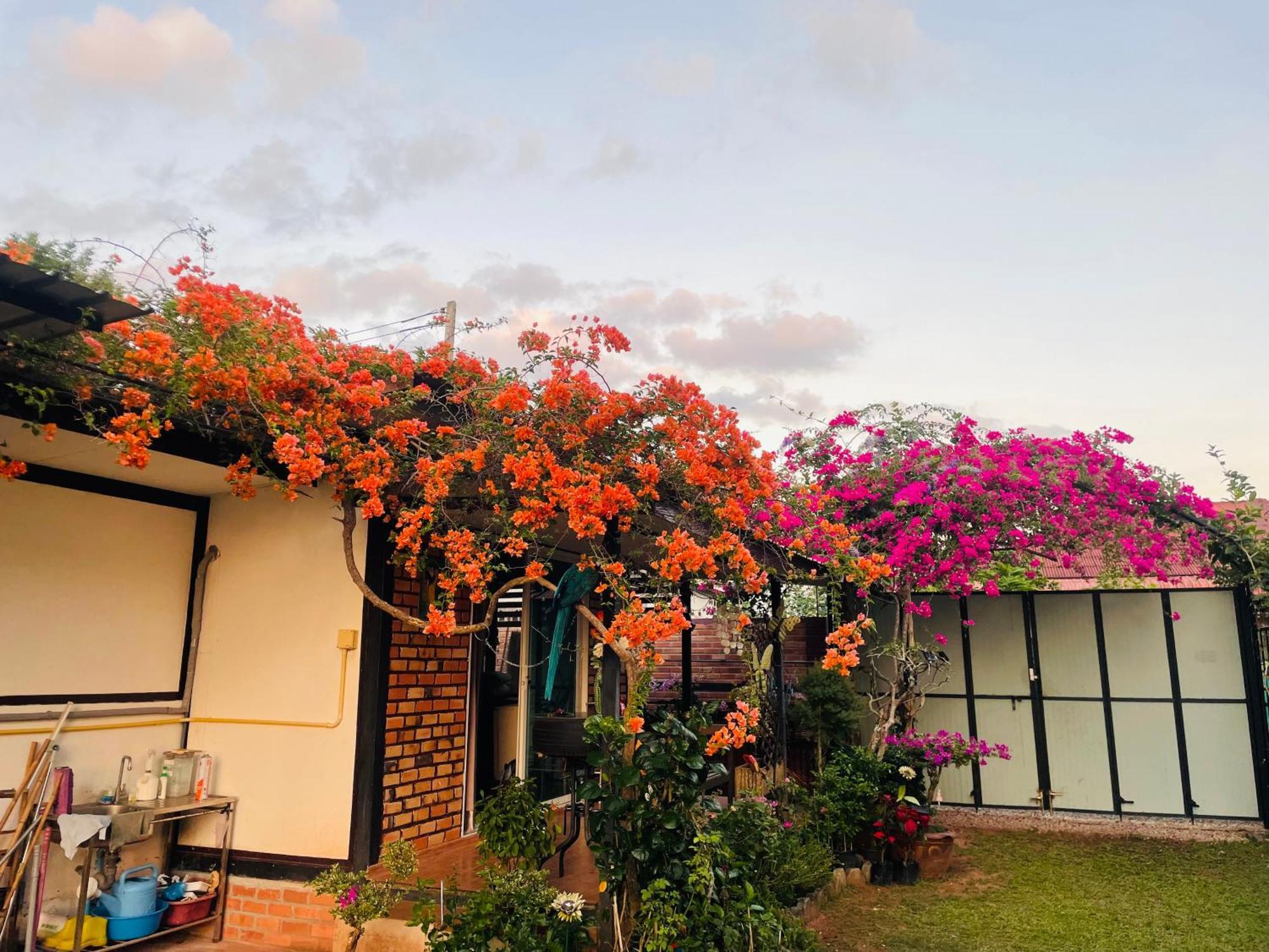 Ban Ko Kwang Krabilife Resort מראה חיצוני תמונה
